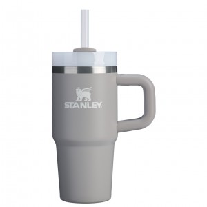 Stanley The Quencher H2.O FlowState™ Tumbler with Handle & Straw | 14 OZ Ash | ULK729856