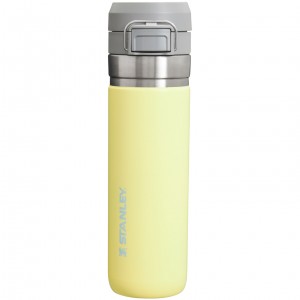 Stanley The Quick Flip Go Water Bottle | 24 OZ Pomelo | VCN687912