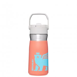 Stanley The Wild Imagination IceFlow Flip Straw Water Bottle | 17 OZ Grapefruit Cub | VZO762481