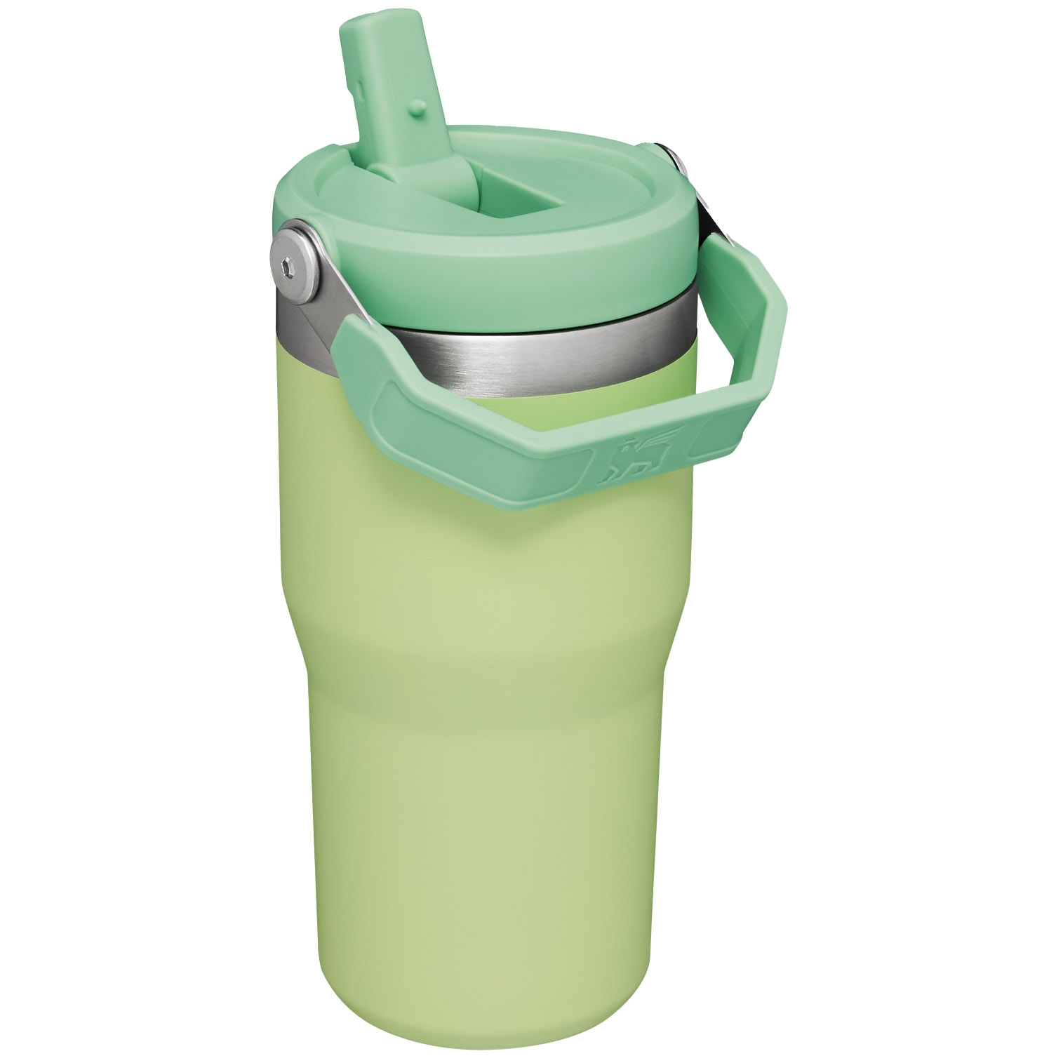 Stanley The IceFlow Flip Straw Tumbler | 20 OZ | Insulated Water Bottle Citron | PGA267301